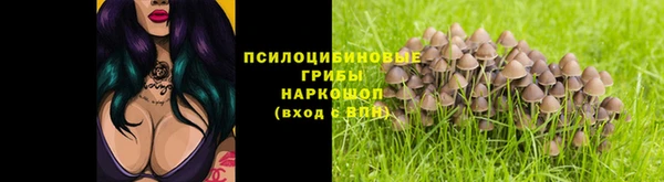 стаф Алексеевка