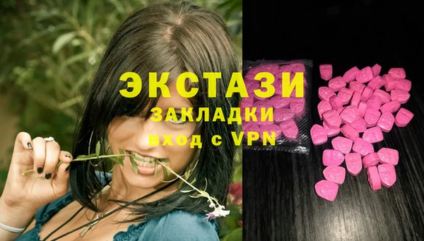 МДПВ Рославль