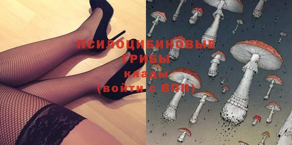стаф Алексеевка