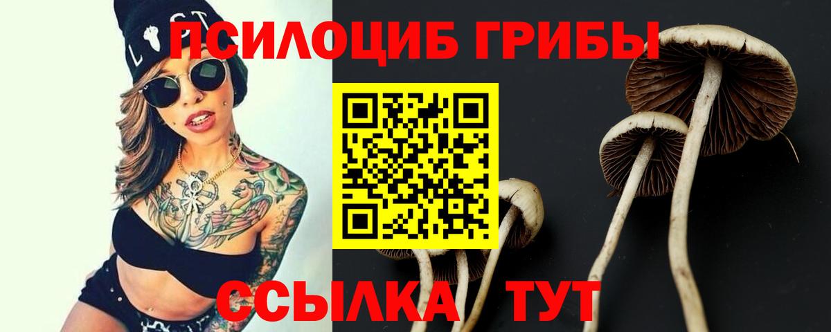 Псилоцибиновые грибы Magic Shrooms  где купить   Аргун  Вход с VPN 